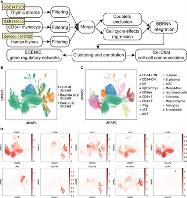 Transcriptional profile of human thymus reveals IGFBP5 is correlated with age-related thymic involution